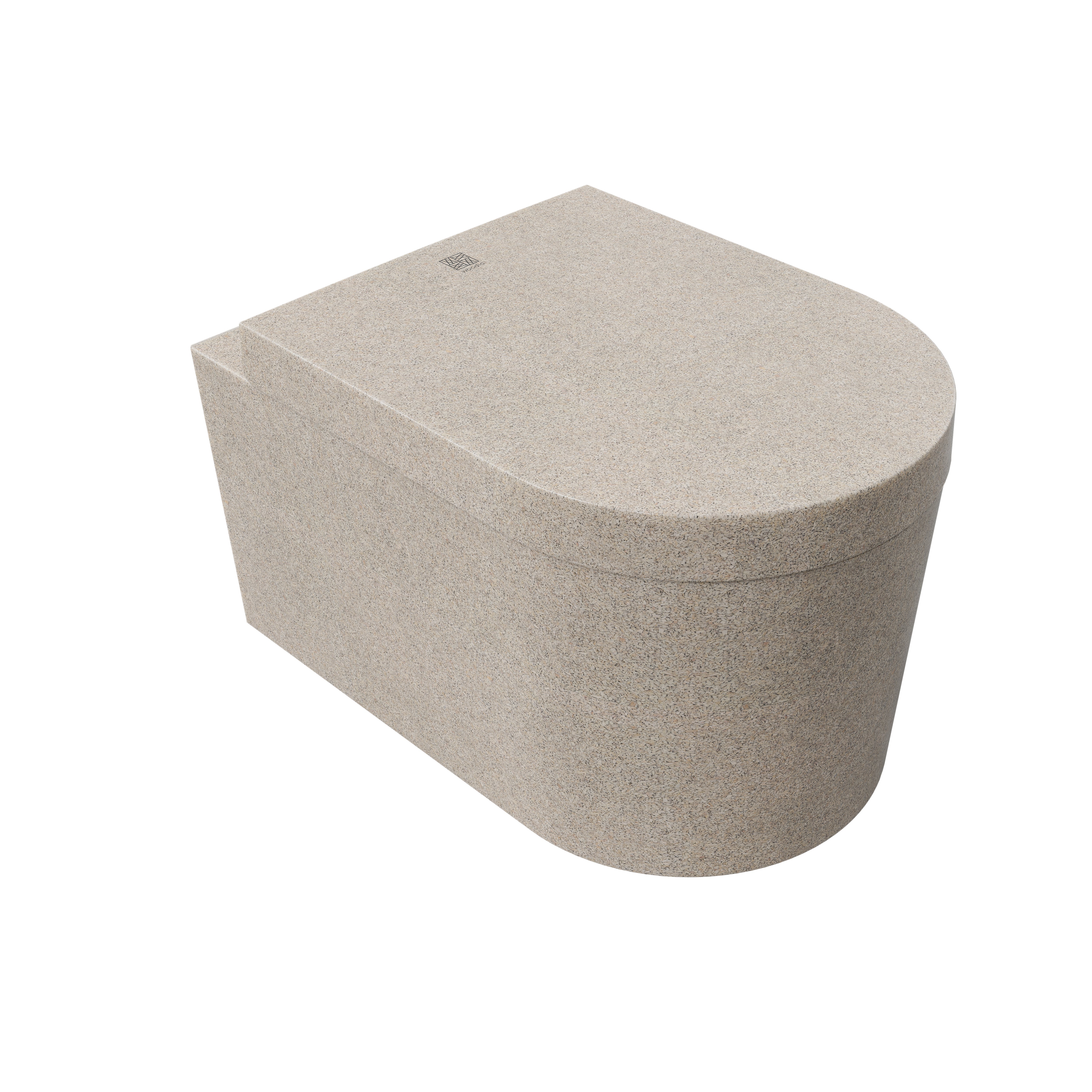 Block Wall Hung Toilet